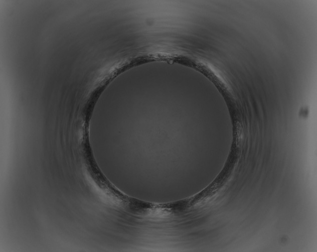 X0000091690451200708231444