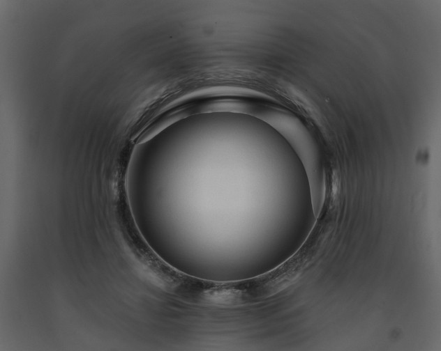 X0000091690452200708231444