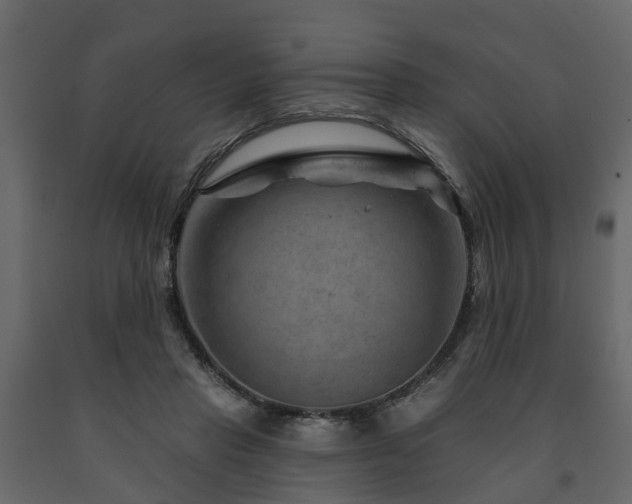 X0000091690453200708231444
