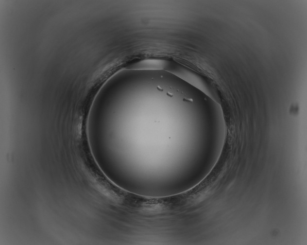 X0000091690454200708231444