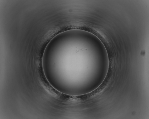 X0000091690455200708231444