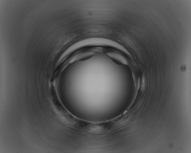 X0000091690456200708231444