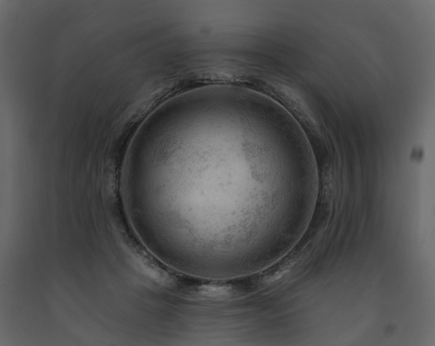 X0000091690457200708231444