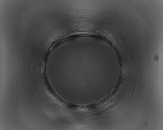 X0000091690458200708231444