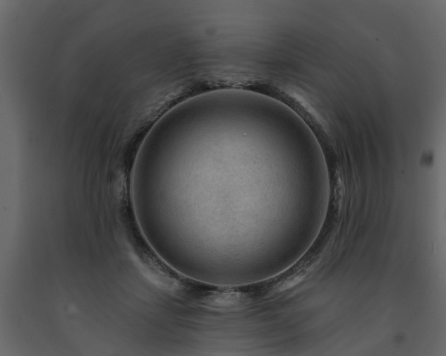 X0000091690459200708231444