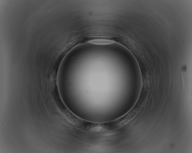 X0000091690460200708231444