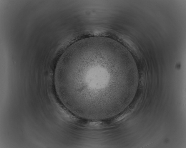 X0000091690461200708231444