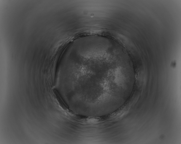 X0000091690462200708231444