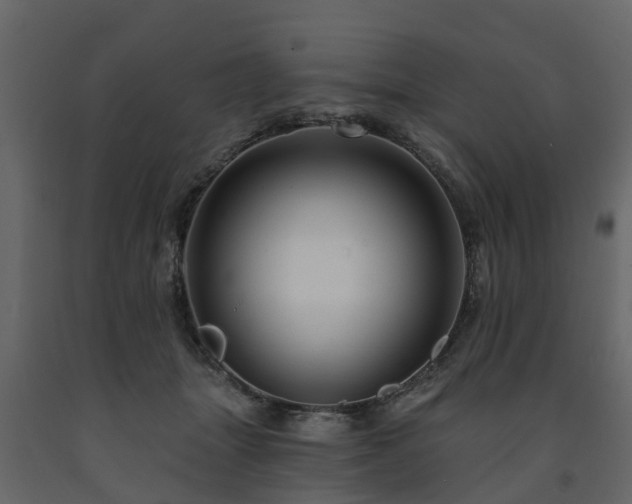 X0000091690463200708231444