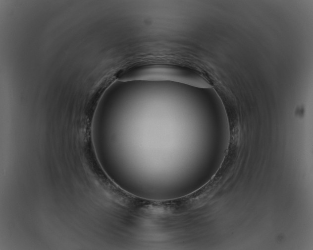 X0000091690464200708231444