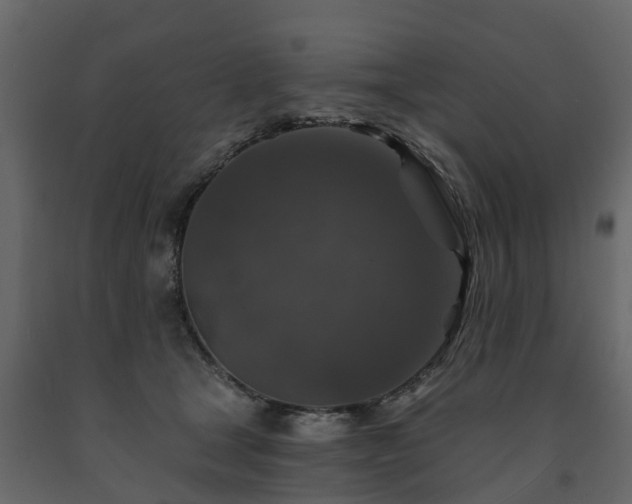 X0000091690465200708231444