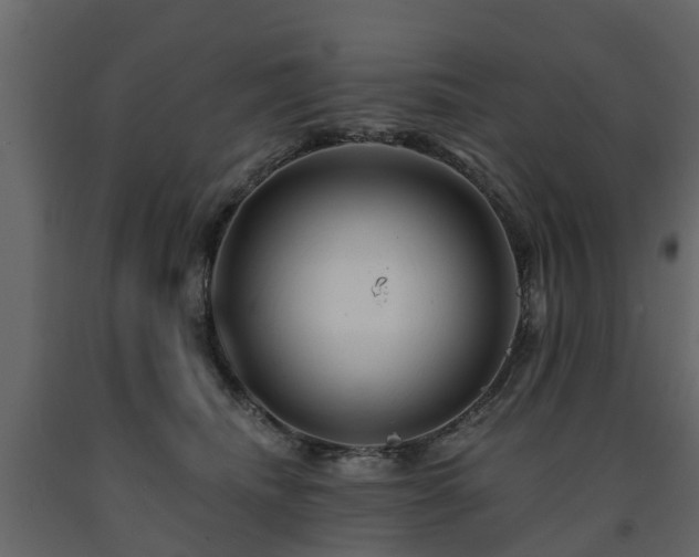 X0000091690468200708231444