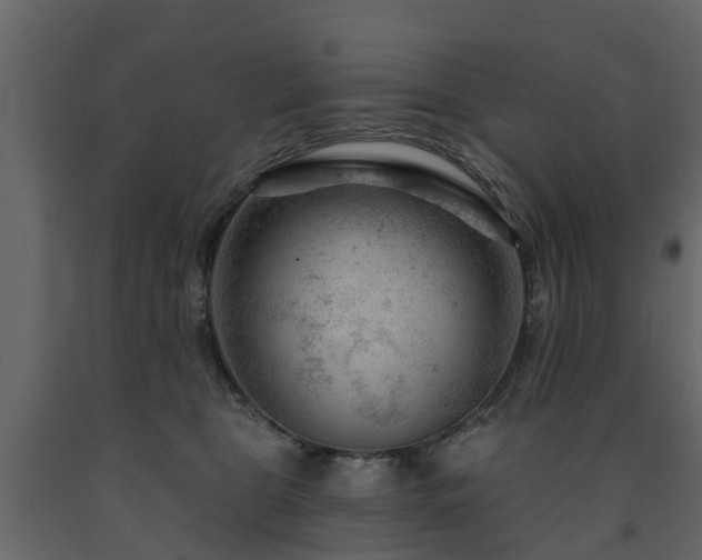 X0000091690469200708231444
