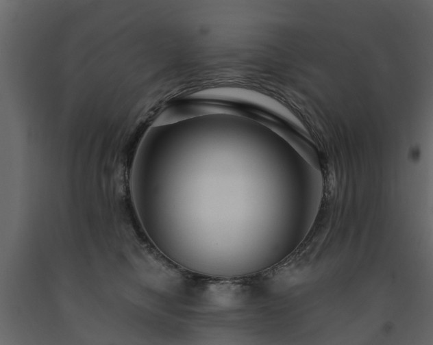 X0000091690470200708231444
