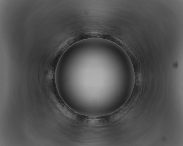 X0000091690472200708231444
