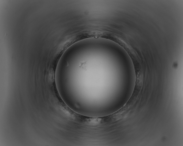 X0000091690474200708231444