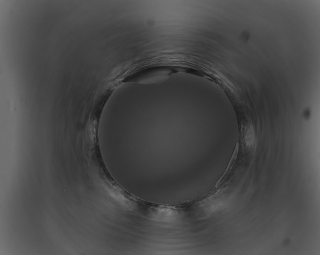 X0000091690475200708231444