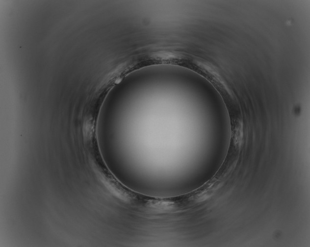 X0000091690476200708231444