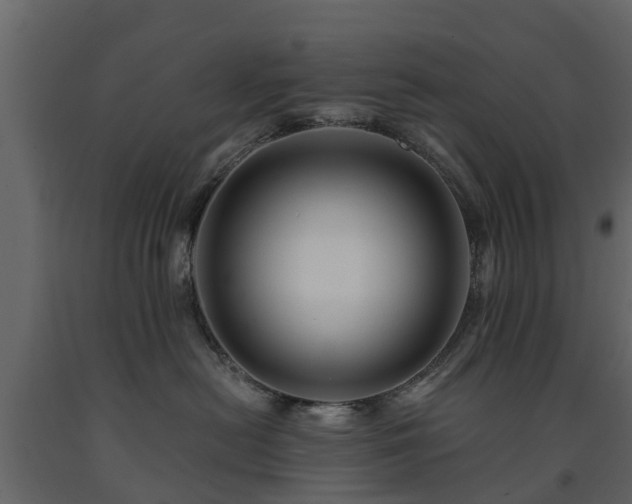 X0000091690478200708231444