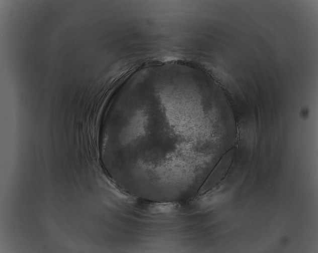 X0000091690479200708231444