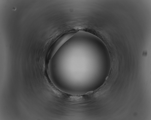 X0000091690480200708231444
