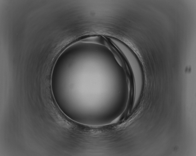 X0000091690481200708231443