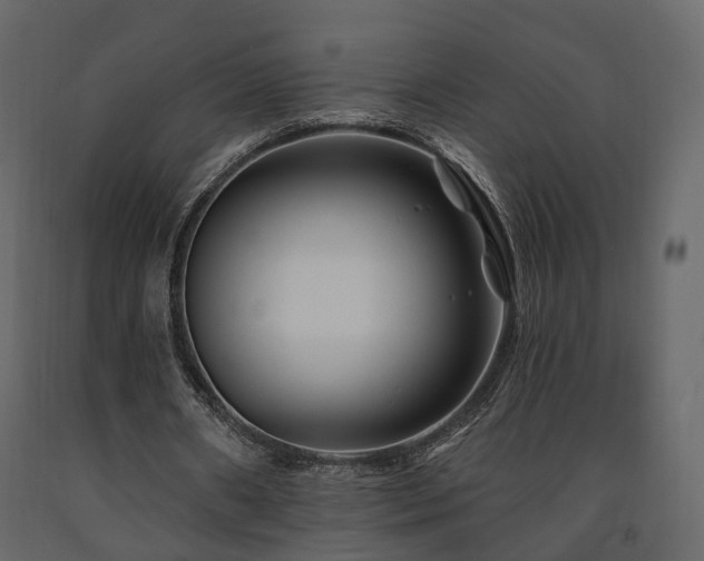 X0000091690482200708231443