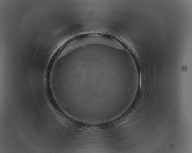 X0000091690483200708231443