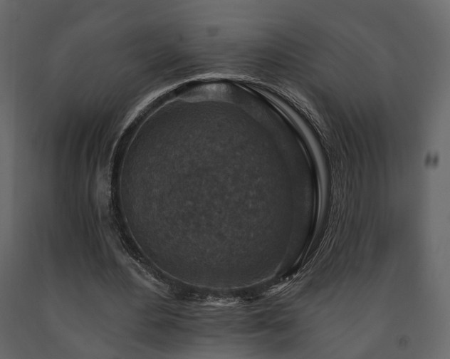 X0000091690484200708231443
