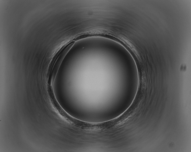 X0000091690485200708231443