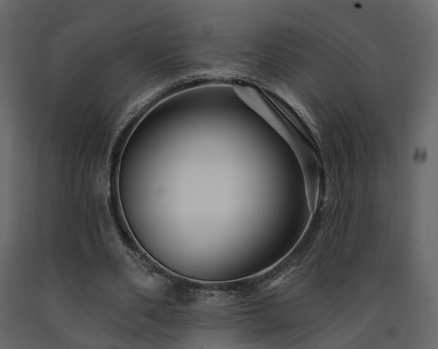 X0000091690486200708231443