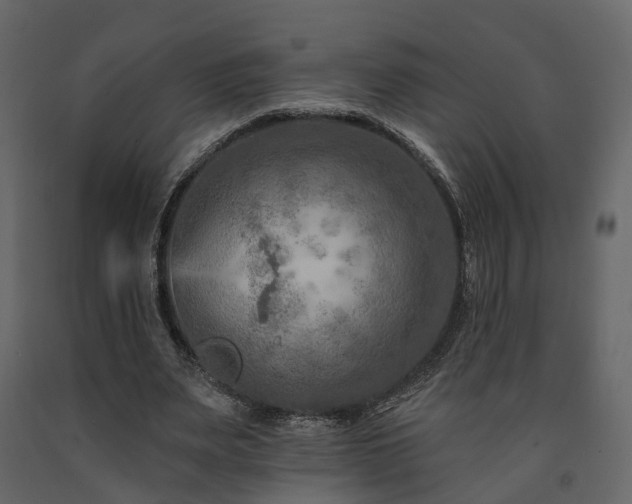 X0000091690487200708231443