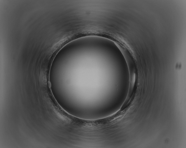 X0000091690489200708231443