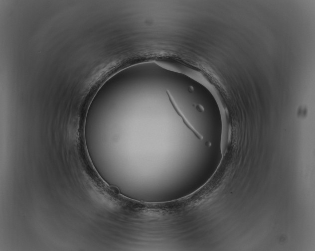X0000091690490200708231443