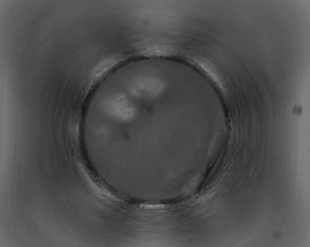 X0000091690491200708231443