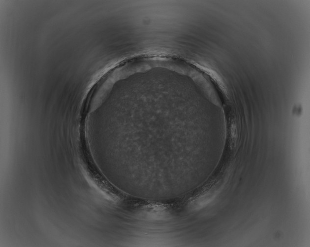X0000091690492200708231443