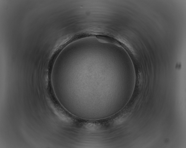 X0000091690494200708231443
