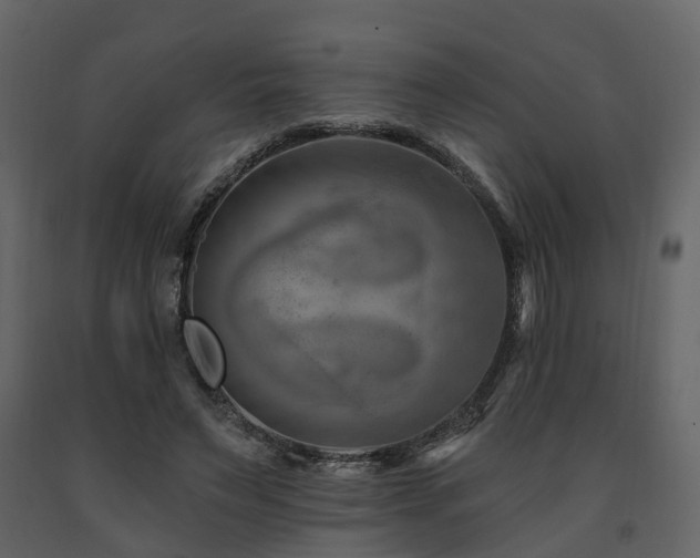 X0000091690495200708231443