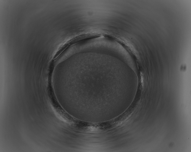 X0000091690496200708231443