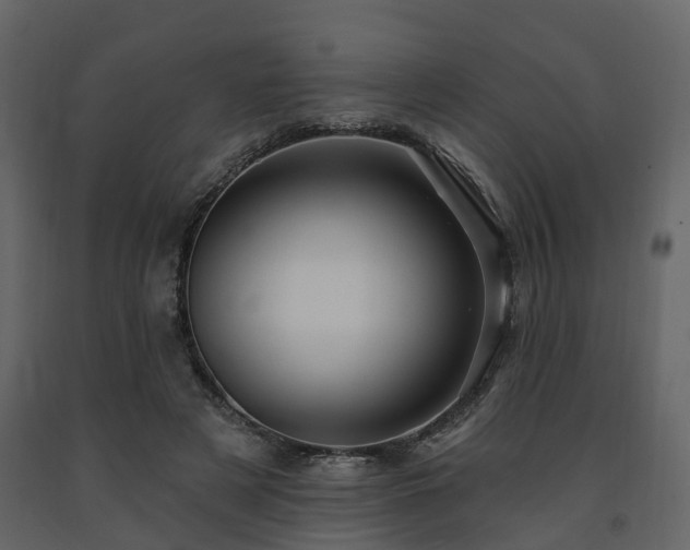 X0000091690497200708231443