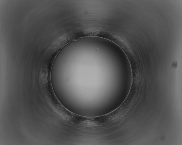 X0000091690498200708231443