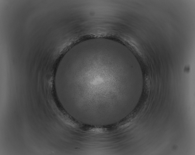 X0000091690499200708231443