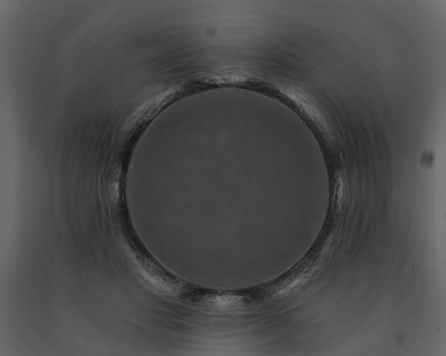X0000091690501200708231443
