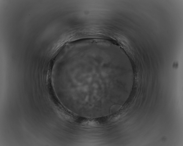 X0000091690503200708231443