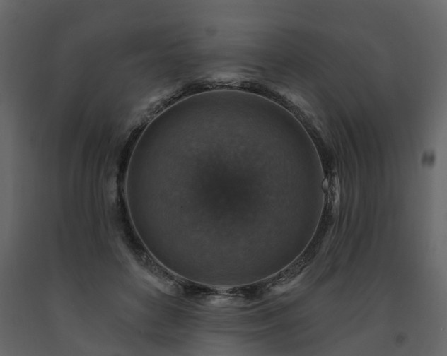 X0000091690504200708231443