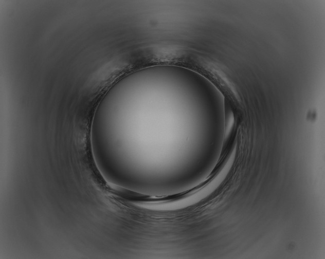 X0000091690505200708231443