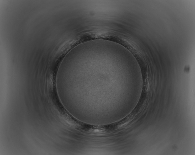 X0000091690506200708231443