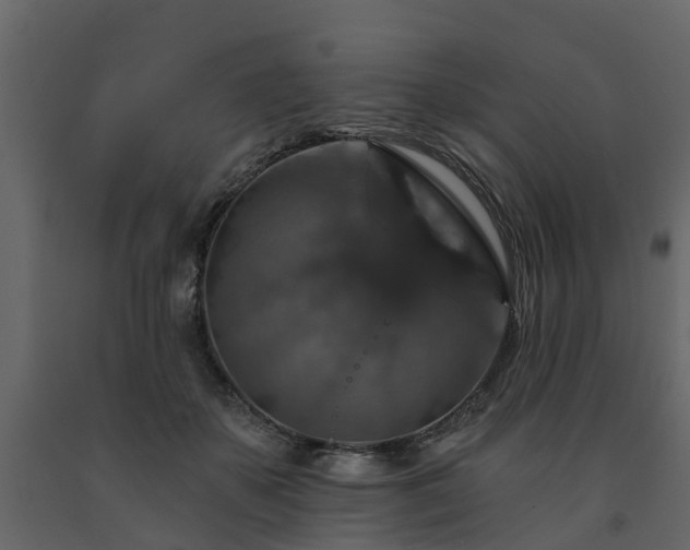 X0000091690507200708231443