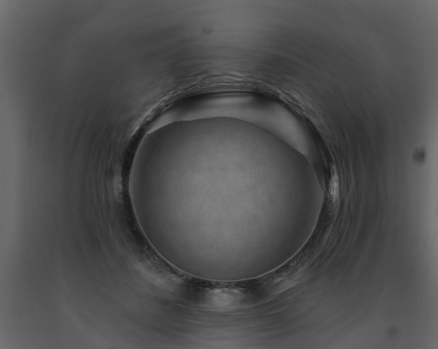 X0000091690508200708231443