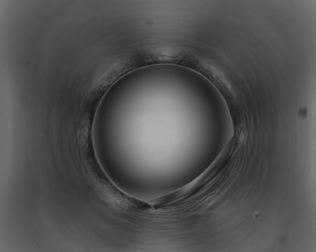 X0000091690509200708231443